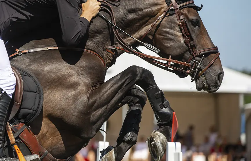 PHR imparte clases de equitación para todas las edades y todos los niveles