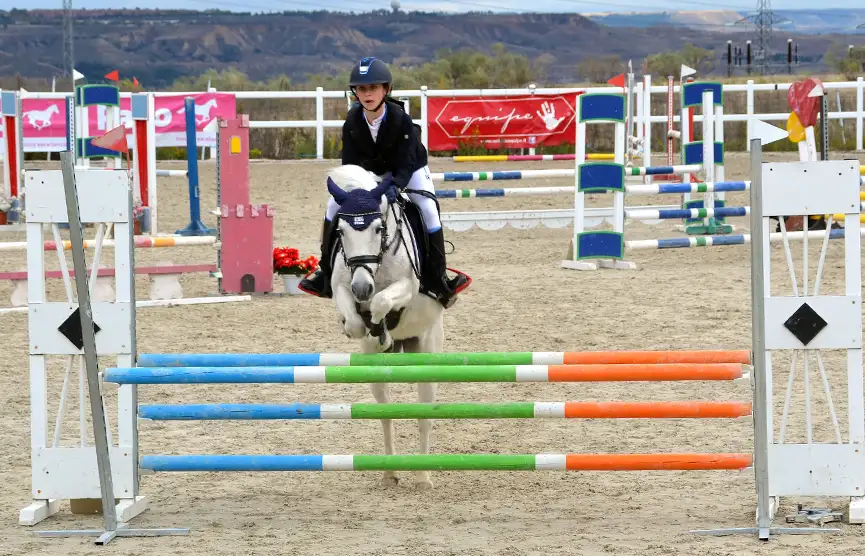 Campeonato de la Comunidad de Madrid de Ponis 2020