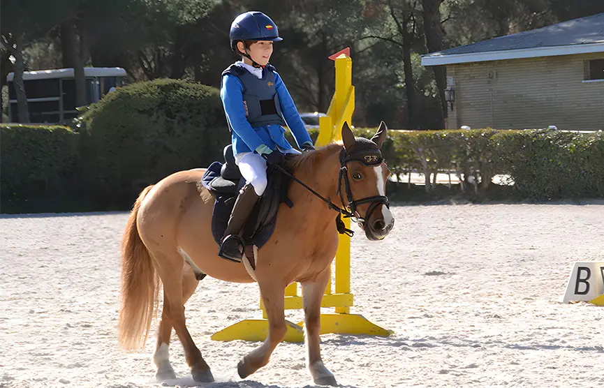 Pony Campeón de España, nuevo en la cuadra de PHR