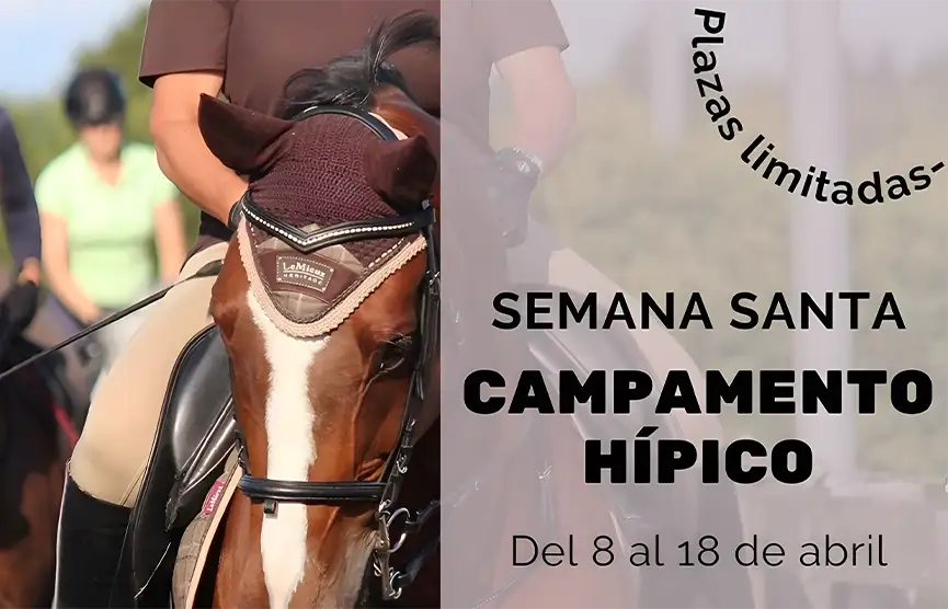 Vacaciones en la hípica: comienzan los campamentos de Semana Santa