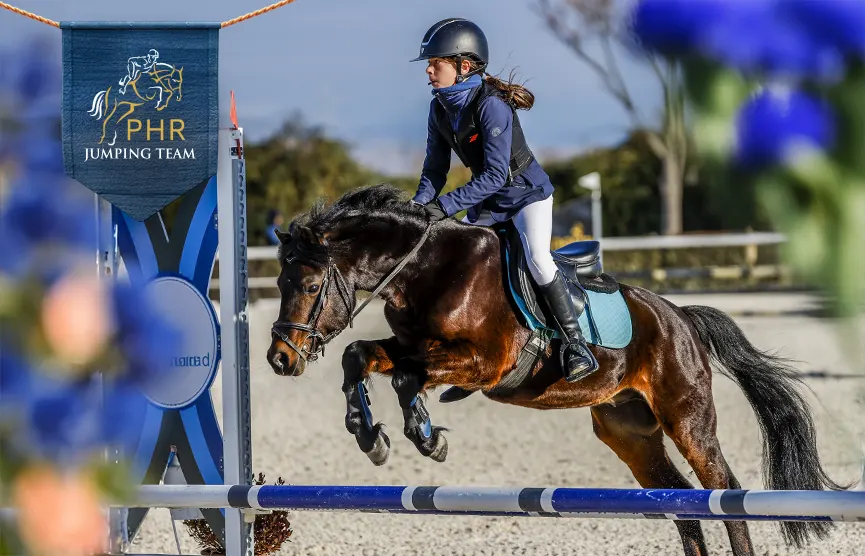 Concurso de Salto de Obstáculos Nacional, CSN2 RSHECC