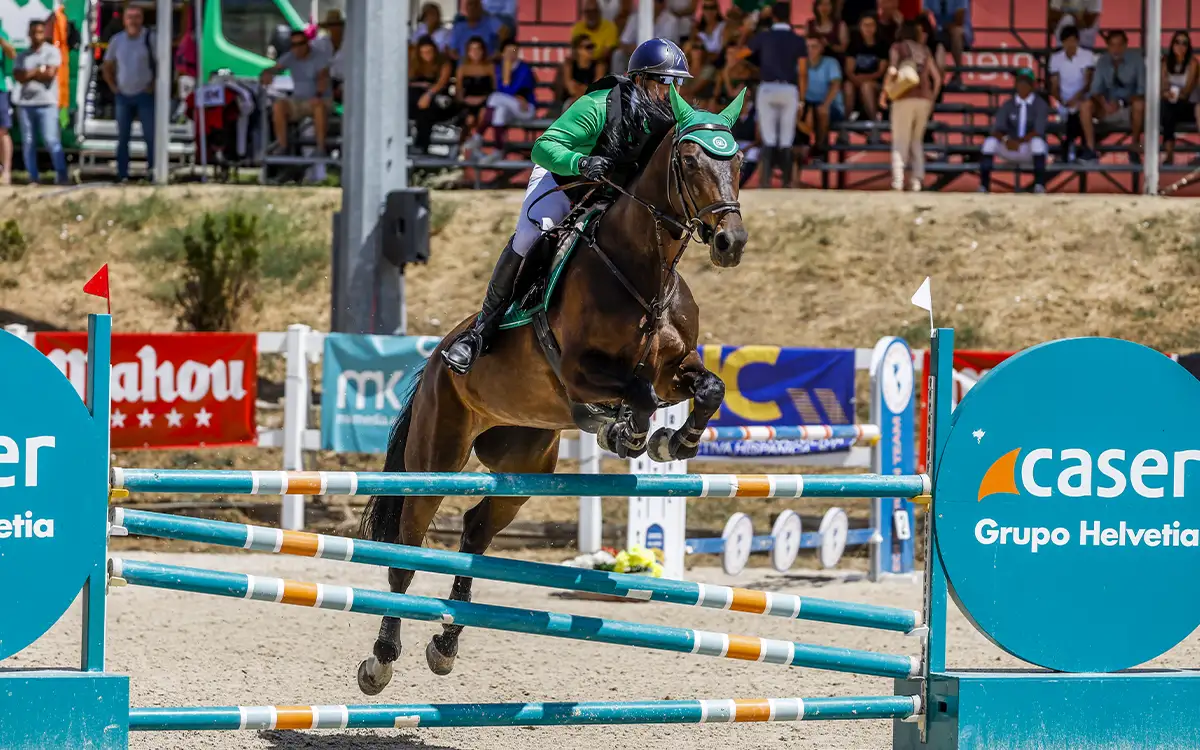Tienda de Hípica en Madrid Pinol Campeonato 