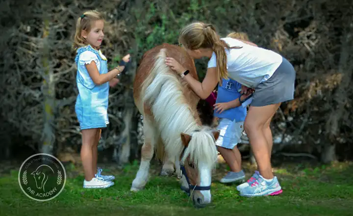 Tres niñas junto a un poni en los Campamentos hípicos de PHR en Madrid