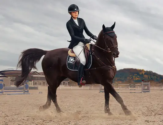 Clinic-Jumping-Training-360o-phr-PHR2025