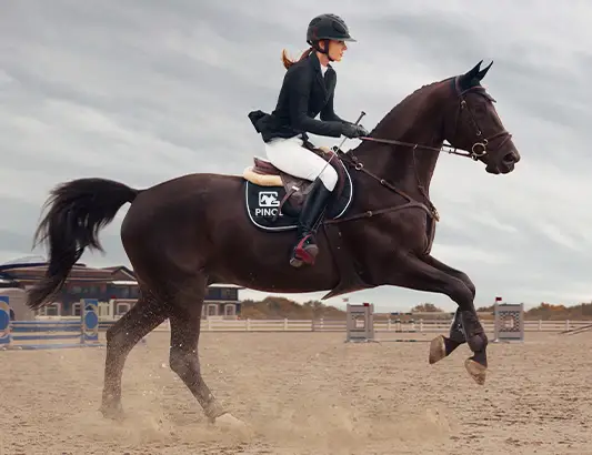 Clinic-Jumping-Training-360o-phr-PHR2025