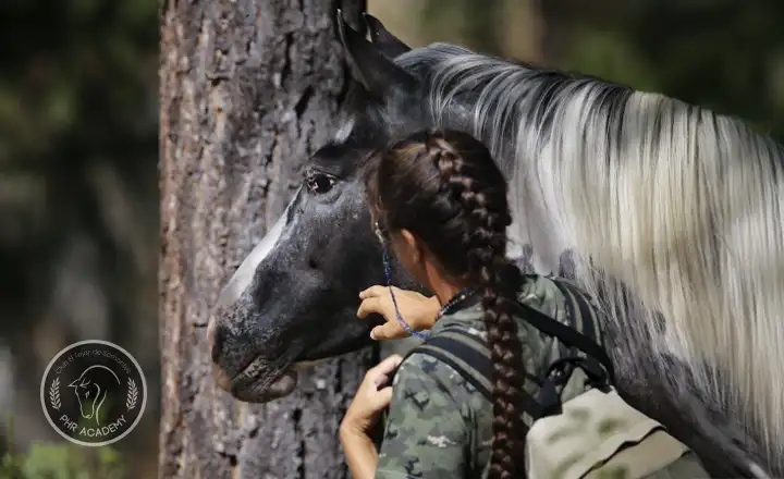 Monitora junto a caballo en los Campamentos hípicos de PHR en Madrid
