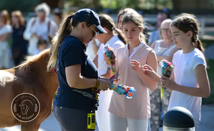 Acceso al Campamento hípico en Madrid