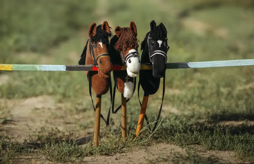 Pony Games Madrid