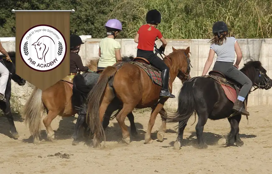 que son los pony games