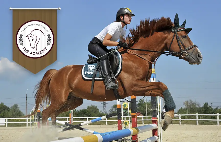 Clases avanzadas de equitación en Madrid