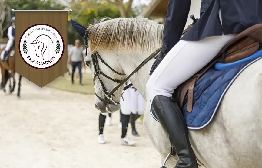 Abiertas Inscripciones para las Clases de Equitación