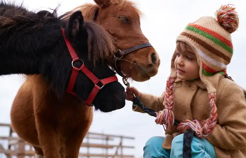 Celebra tu cumpleaños con Ponis en PHR